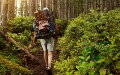 Beyond Surgery: Exploring Effective Non-Surgical Treatments for Hip and Knee Pain